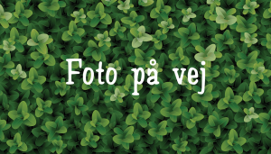foto-på-vej2-1400X800