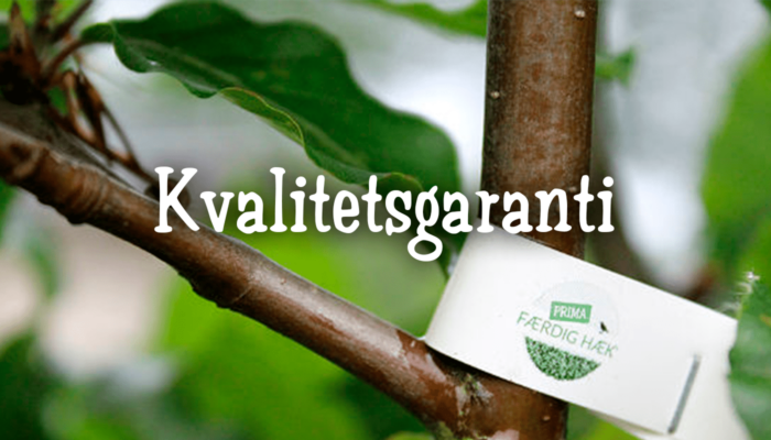 Kvalitetsgaranti